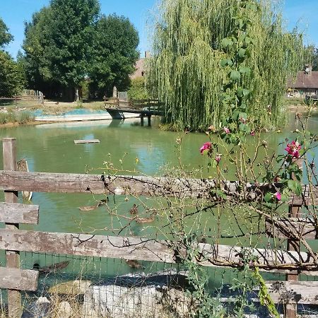 Ferme Bressane Les Arums Mervans ภายนอก รูปภาพ