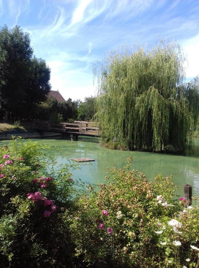 Ferme Bressane Les Arums Mervans ภายนอก รูปภาพ